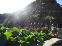 P1000751 &ndash; &copy; Ngoc Anh Nguyen (Eberhardt TRAVEL)
