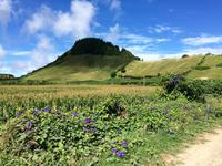 &copy; Ngoc Anh Nguyen (Eberhardt TRAVEL)
