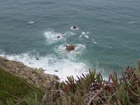 Capo da Roca &ndash; &copy; Cindy Streidt (Eberhardt TRAVEL)