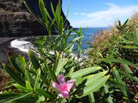 Porto do Cruz, 