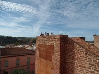 Singlereise Portugal _ Silves &ndash; &copy; Franziska Bergmann (Eberhardt TRAVEL)