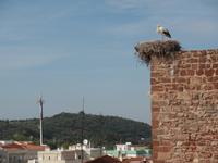 Singlereise Portugal _ Silves &ndash; &copy; Franziska Bergmann (Eberhardt TRAVEL)