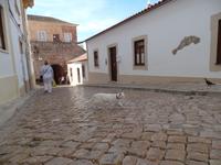 Singlereise Portugal _ Silves &ndash; &copy; Franziska Bergmann (Eberhardt TRAVEL)