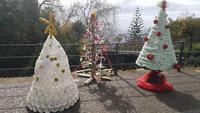 Weihnachtsbäume einmal anders &ndash; &copy; Kristina Hesse (Eberhardt TRAVEL)