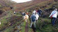 Levadawanderung &ndash; &copy; Kristina Hesse (Eberhardt TRAVEL)