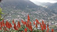 Blick auf Machico &ndash; &copy; Kristina Hesse (Eberhardt TRAVEL)