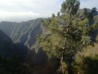 Eiro do Serrado &ndash; &copy; Philip Seidel (Eberhardt TRAVEL)