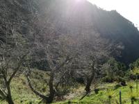Eiro do Serrado &ndash; &copy; Philip Seidel (Eberhardt TRAVEL)