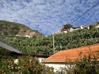 Bananenplantage &ndash; &copy; Philip Seidel (Eberhardt TRAVEL)