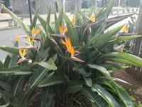 Ribeira Brava &ndash; &copy; Philip Seidel (Eberhardt TRAVEL)