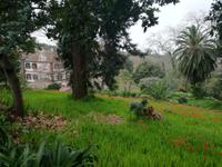 Blandys Garten &ndash; &copy; Philip Seidel (Eberhardt TRAVEL)