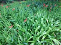 Blandys Garten &ndash; &copy; Philip Seidel (Eberhardt TRAVEL)