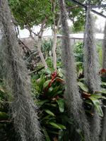 Orchideengarten &ndash; &copy; Philip Seidel (Eberhardt TRAVEL)