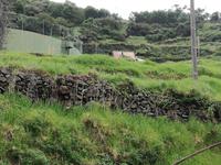 Levada von Marocos &ndash; &copy; Philip Seidel (Eberhardt TRAVEL)