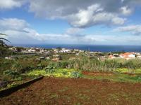 Santana &ndash; &copy; Philip Seidel (Eberhardt TRAVEL)