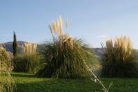 Pico dos Barcelos &ndash; &copy; Susanne Schirmann (Eberhardt TRAVEL)
