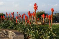 Pico dos Barcelos &ndash; &copy; Susanne Schirmann (Eberhardt TRAVEL)