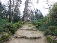 Quinta da Aveleda (21) &ndash; &copy; Francisco Javier Burgos Gutierrez (Eberhardt TRAVEL)