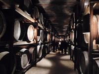 Quinta da Aveleda (33) &ndash; &copy; Francisco Javier Burgos Gutierrez (Eberhardt TRAVEL)