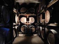 Quinta da Aveleda (34) &ndash; &copy; Francisco Javier Burgos Gutierrez (Eberhardt TRAVEL)