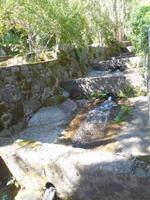 162 Caldas de Monchique &ndash; &copy; Karolin Kühn (Eberhardt TRAVEL)