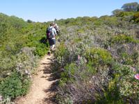 299 Küstenwanderung nach Carvoeiro &ndash; &copy; Karolin Kühn (Eberhardt TRAVEL)