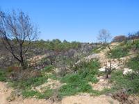 311 Küstenwanderung nach Carvoeiro &ndash; &copy; Karolin Kühn (Eberhardt TRAVEL)