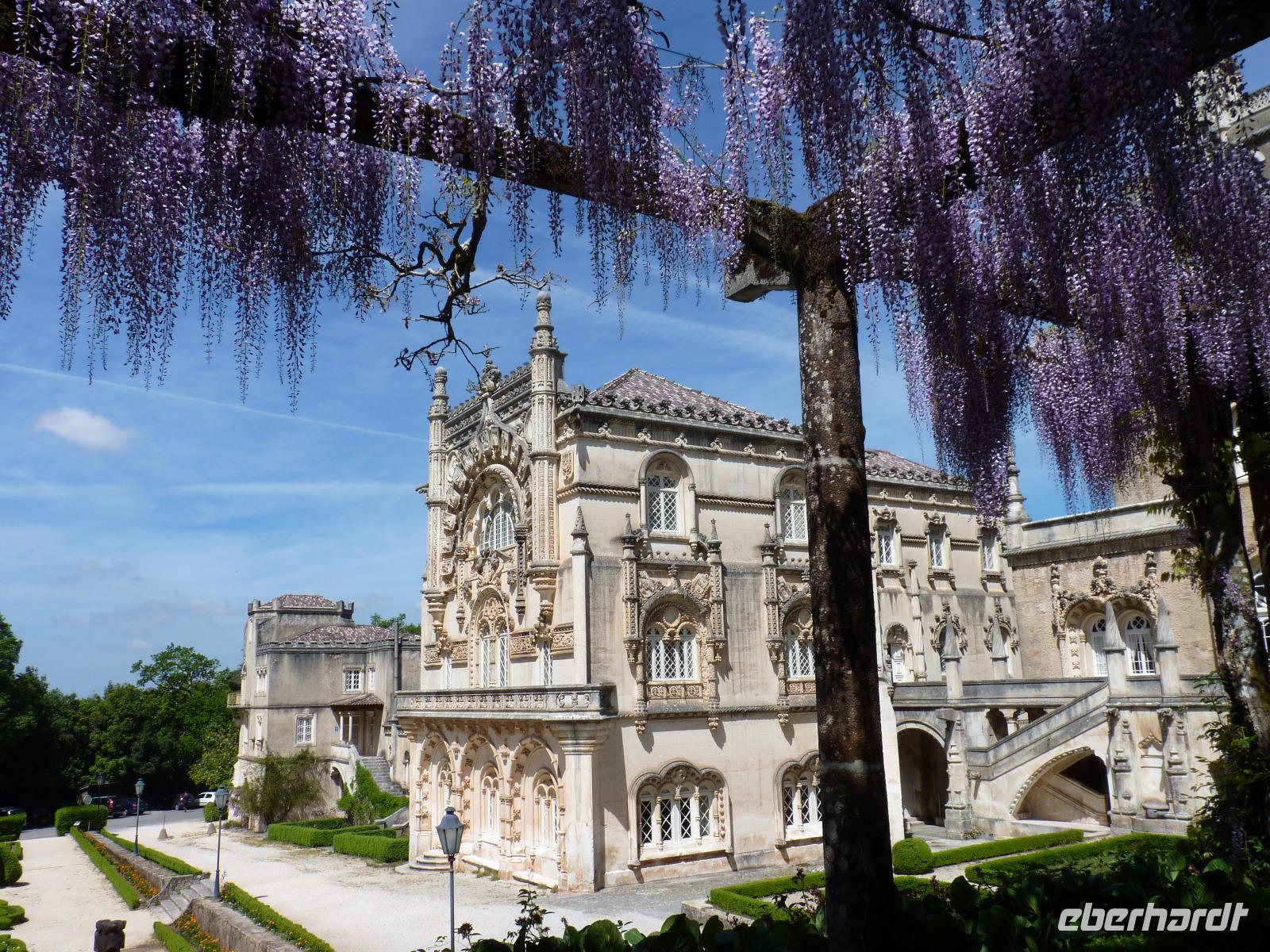 Parque von Bussacao (7) &ndash; &copy; Steffi Zimmermann (Eberhardt TRAVEL)