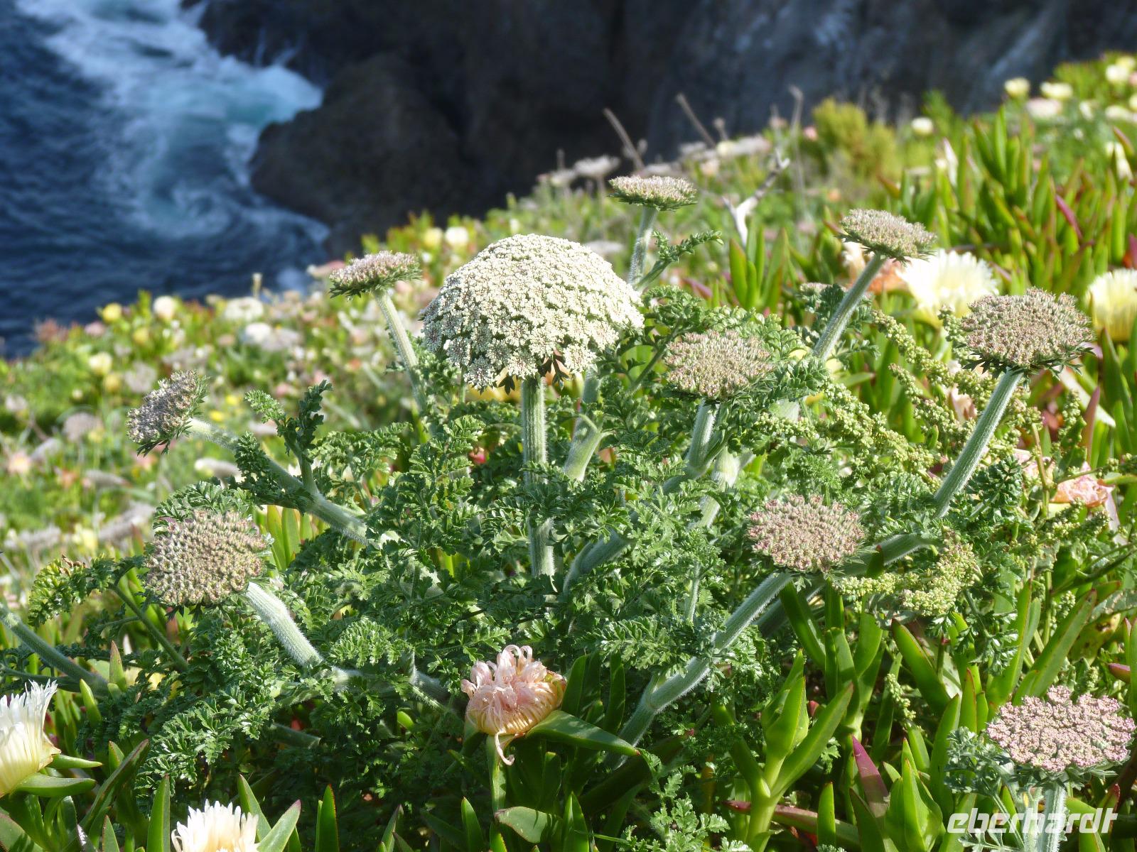 Cabo Sant Vincente (3) &ndash; &copy; Steffi Zimmermann (Eberhardt TRAVEL)
