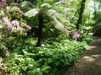 Parque von Bussacao (5) &ndash; &copy; Steffi Zimmermann (Eberhardt TRAVEL)