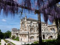 Parque von Bussacao (7) &ndash; &copy; Steffi Zimmermann (Eberhardt TRAVEL)