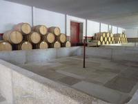 Weingut (4) &ndash; &copy; Steffi Zimmermann (Eberhardt TRAVEL)