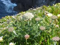 Cabo Sant Vincente (3) &ndash; &copy; Steffi Zimmermann (Eberhardt TRAVEL)