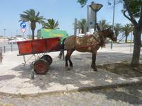 Zigeunerwagen &ndash; &copy; Steffi Zimmermann (Eberhardt TRAVEL)