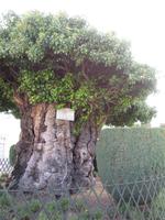 Portugal – Lamego &ndash; &copy; Franziska Bergmann (Eberhardt TRAVEL)