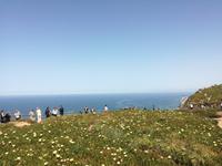 Cabo da Roca &ndash; &copy; Carina Henn (Eberhardt TRAVEL)