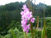Furnas  &ndash; &copy; Kerstin Hugel (Eberhardt TRAVEL)