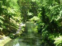  Terra-Nostra Park &ndash; &copy; Kerstin Hugel (Eberhardt TRAVEL)