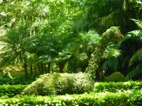  Terra-Nostra Park &ndash; &copy; Kerstin Hugel (Eberhardt TRAVEL)