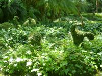  Terra-Nostra Park &ndash; &copy; Kerstin Hugel (Eberhardt TRAVEL)
