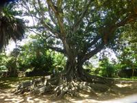 P1180220 &ndash; &copy; Kerstin Hugel (Eberhardt TRAVEL)