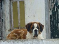 P1180266 &ndash; &copy; Kerstin Hugel (Eberhardt TRAVEL)