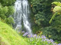 Park Caldeiroes  &ndash; &copy; Kerstin Hugel (Eberhardt TRAVEL)