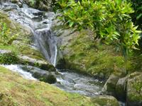 Park Caldeiroes  &ndash; &copy; Kerstin Hugel (Eberhardt TRAVEL)