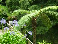 Park Caldeiroes  &ndash; &copy; Kerstin Hugel (Eberhardt TRAVEL)