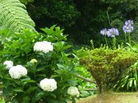 Park Caldeiroes  &ndash; &copy; Kerstin Hugel (Eberhardt TRAVEL)