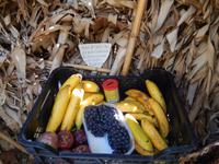 Lecker Lecker &ndash; &copy; Rico Manns (Eberhardt TRAVEL)