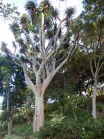 Botanischer Garten &ndash; &copy; Rico Manns (Eberhardt TRAVEL)