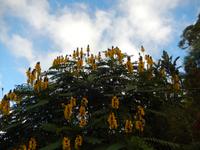 Botanischer Garten &ndash; &copy; Rico Manns (Eberhardt TRAVEL)