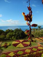 Botanischer Garten &ndash; &copy; Rico Manns (Eberhardt TRAVEL)